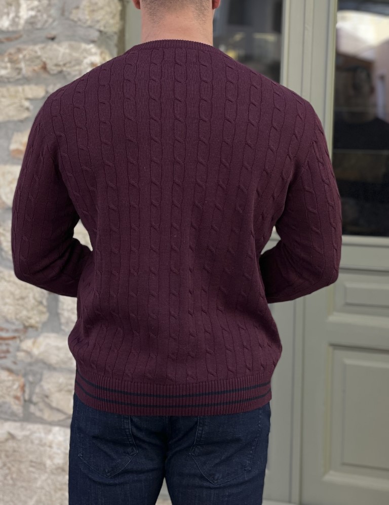 Darious ανδρικό μπορντώ πλεκτό πουλόβερ 24044K φωτογραφία